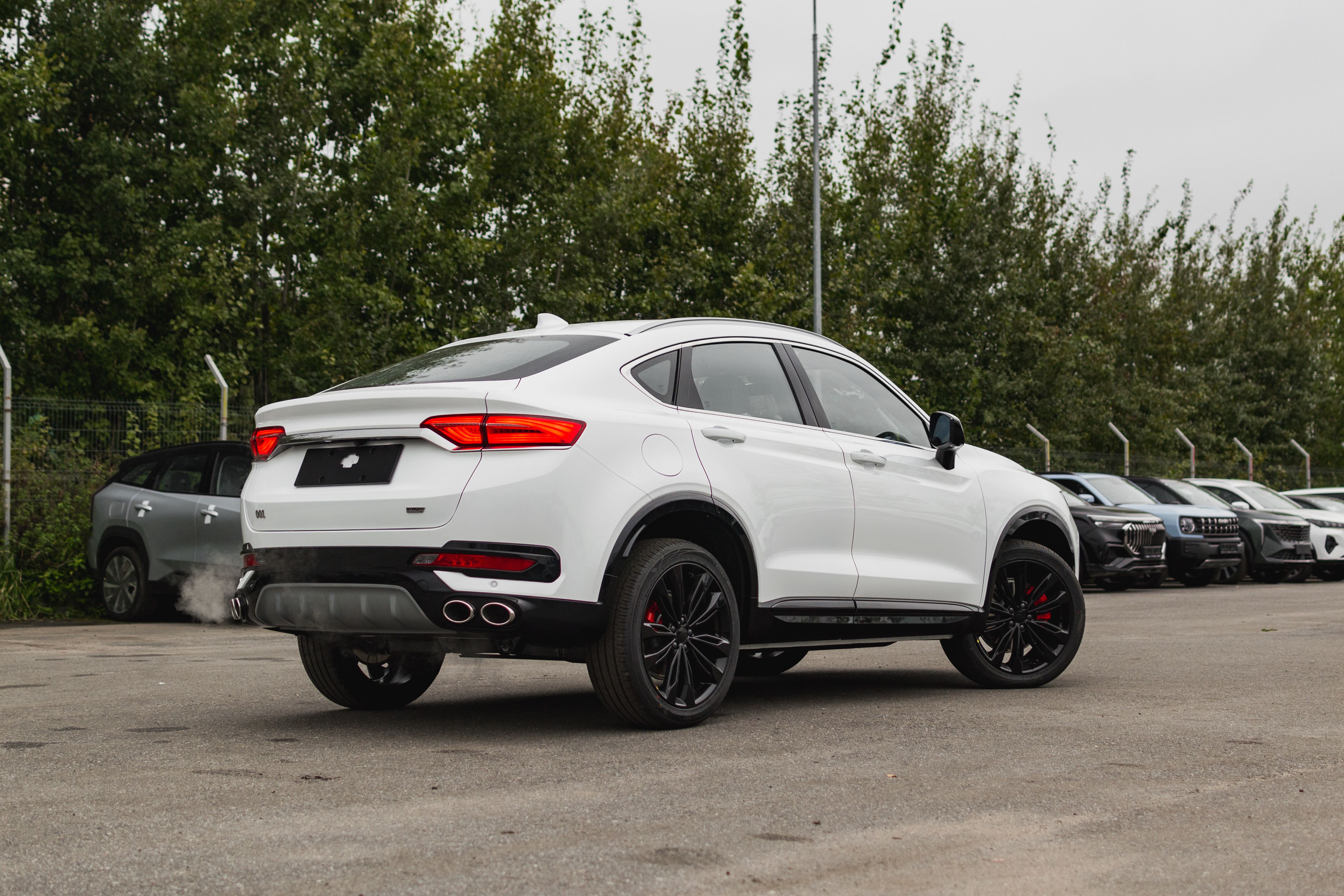 Knewstar 001 2024 года, 0 км - вид 13