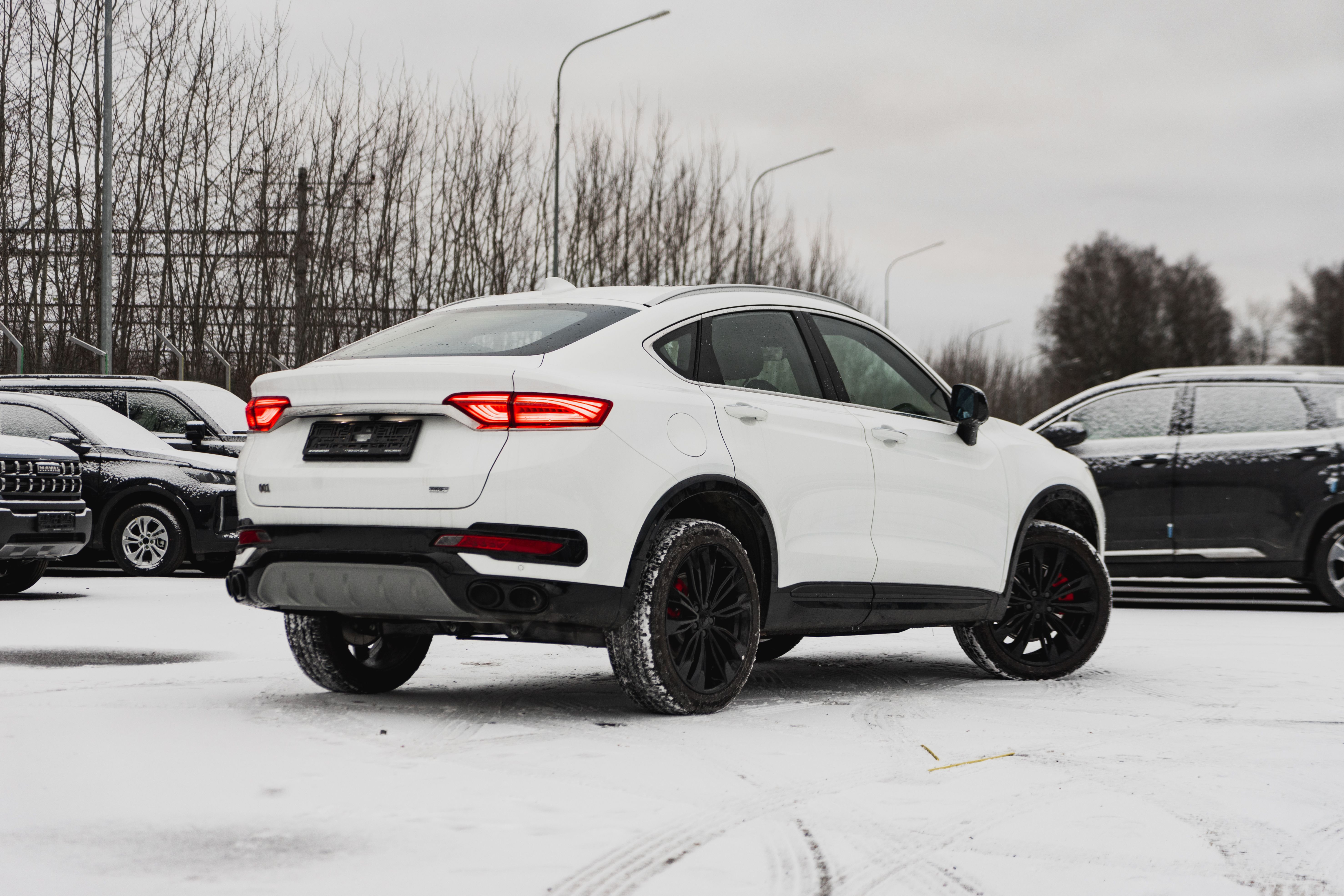 Knewstar 001 2024 года, 0 км - вид 8